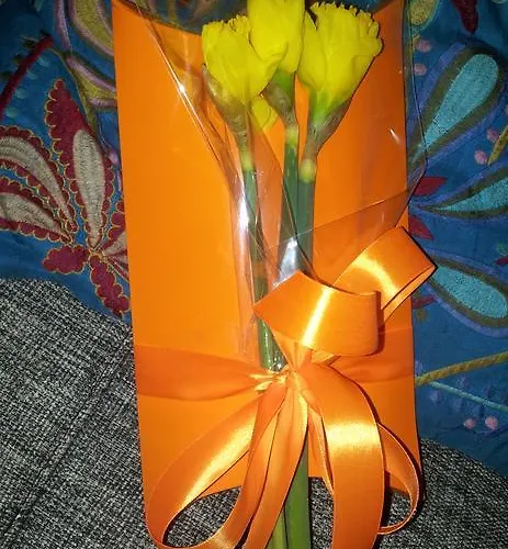 Whatever Art فندق مبيت وإفطار