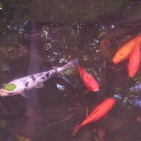 Whatever Art * Lizbona