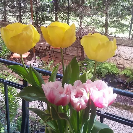 Whatever Art Nocleg ze śniadaniem Lizbona