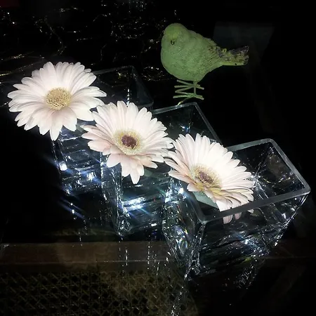 B&B 왓에버 아트 *