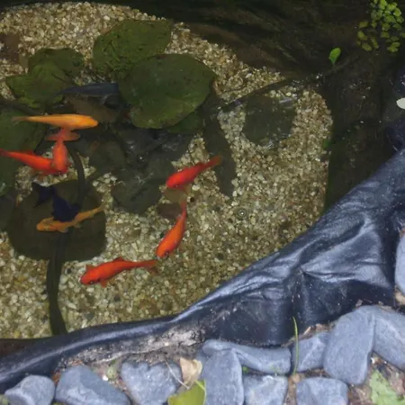 Whatever Art Nocleg ze śniadaniem *