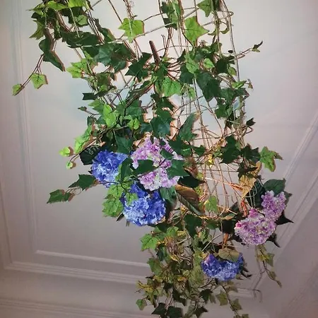 Whatever Art Nocleg ze śniadaniem