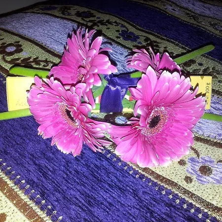 Whatever Art Nocleg ze śniadaniem Lizbona