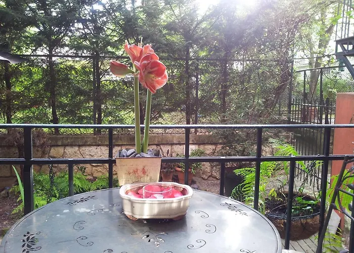 泛艺术住宿加早餐酒店 *