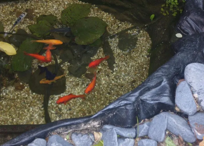 泛艺术住宿加早餐酒店 住宿加早餐酒店 *