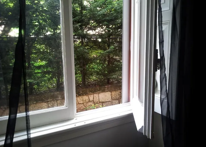 B&B 왓에버 아트