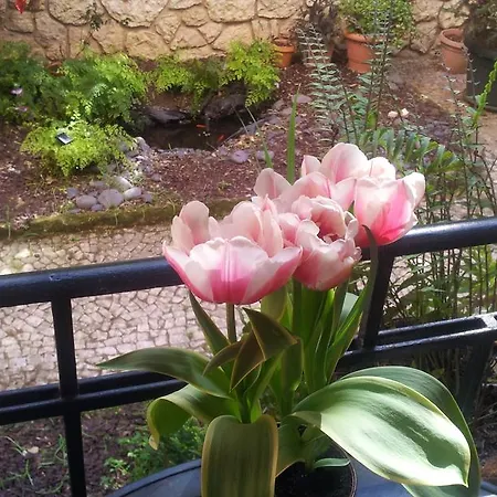 Whatever Art Panzió *