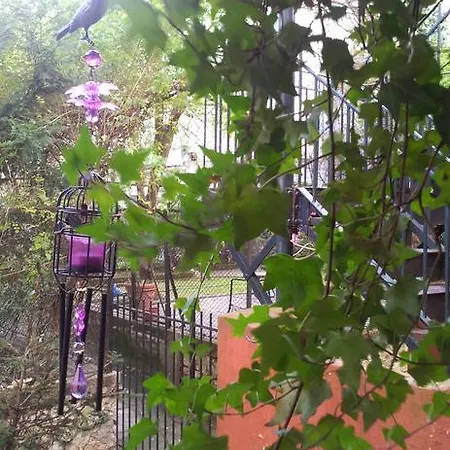 Whatever Art Bed & Breakfast Lisboa