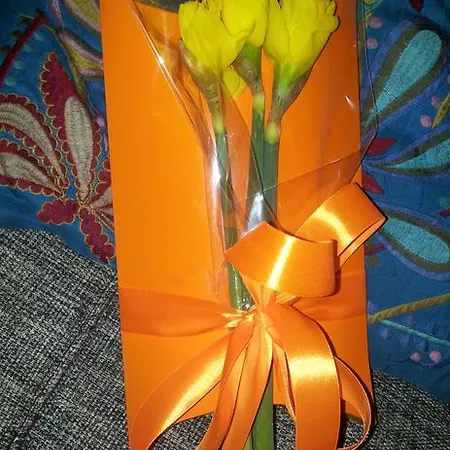 Whatever Art Bed & Breakfast