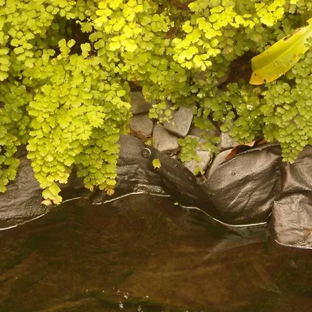 Bed & Breakfast Whatever Art Lisboa