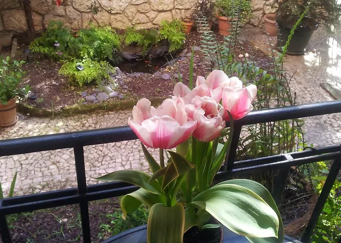 Whatever Art Couette-café *