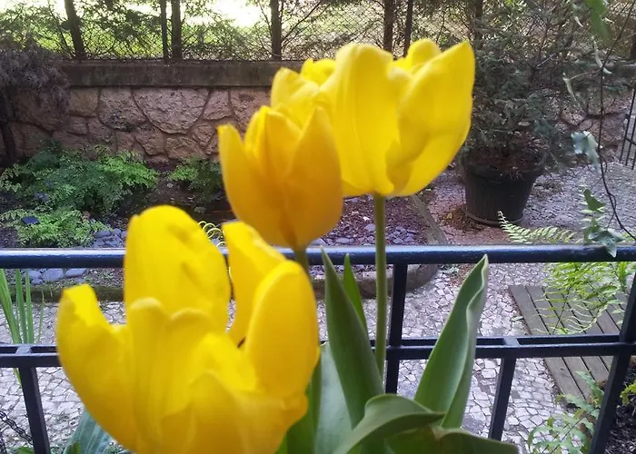 Couette-café Whatever Art Lisboa