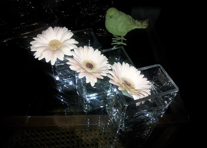 Couette-café Whatever Art *