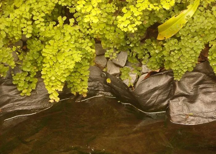 Couette-café Whatever Art Lisboa