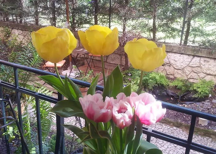 Whatever Art Bed & Breakfast Lissabon